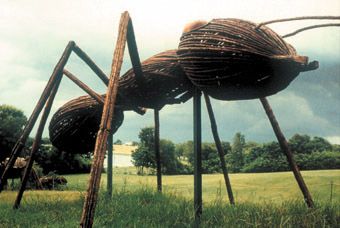 How to Get Rid of Ants (Outdoor Version)