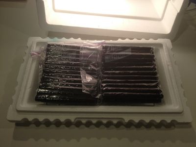 Put Your Cigars in the Oven or Proofing Box