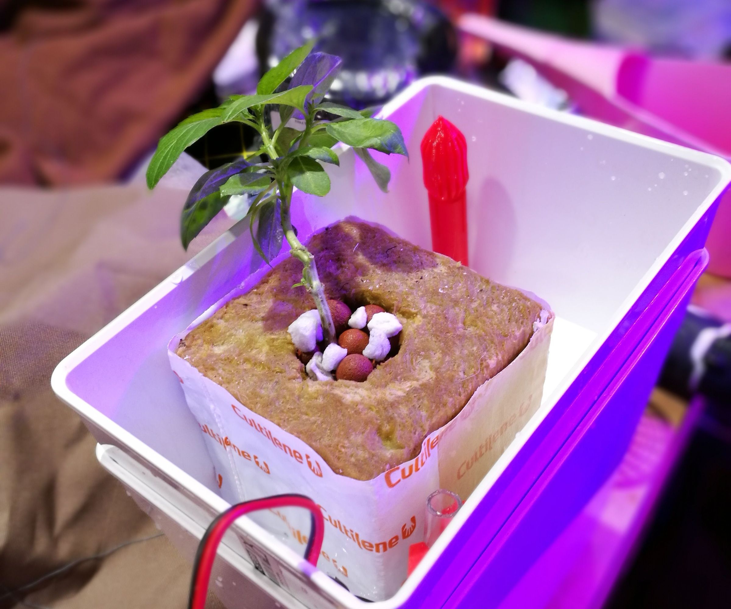 Tabletop Hydroponics With 3D Printed Ebb and Flow Fittings