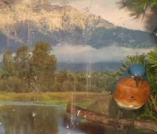 How 2.0: Build a Personal Weather Machine