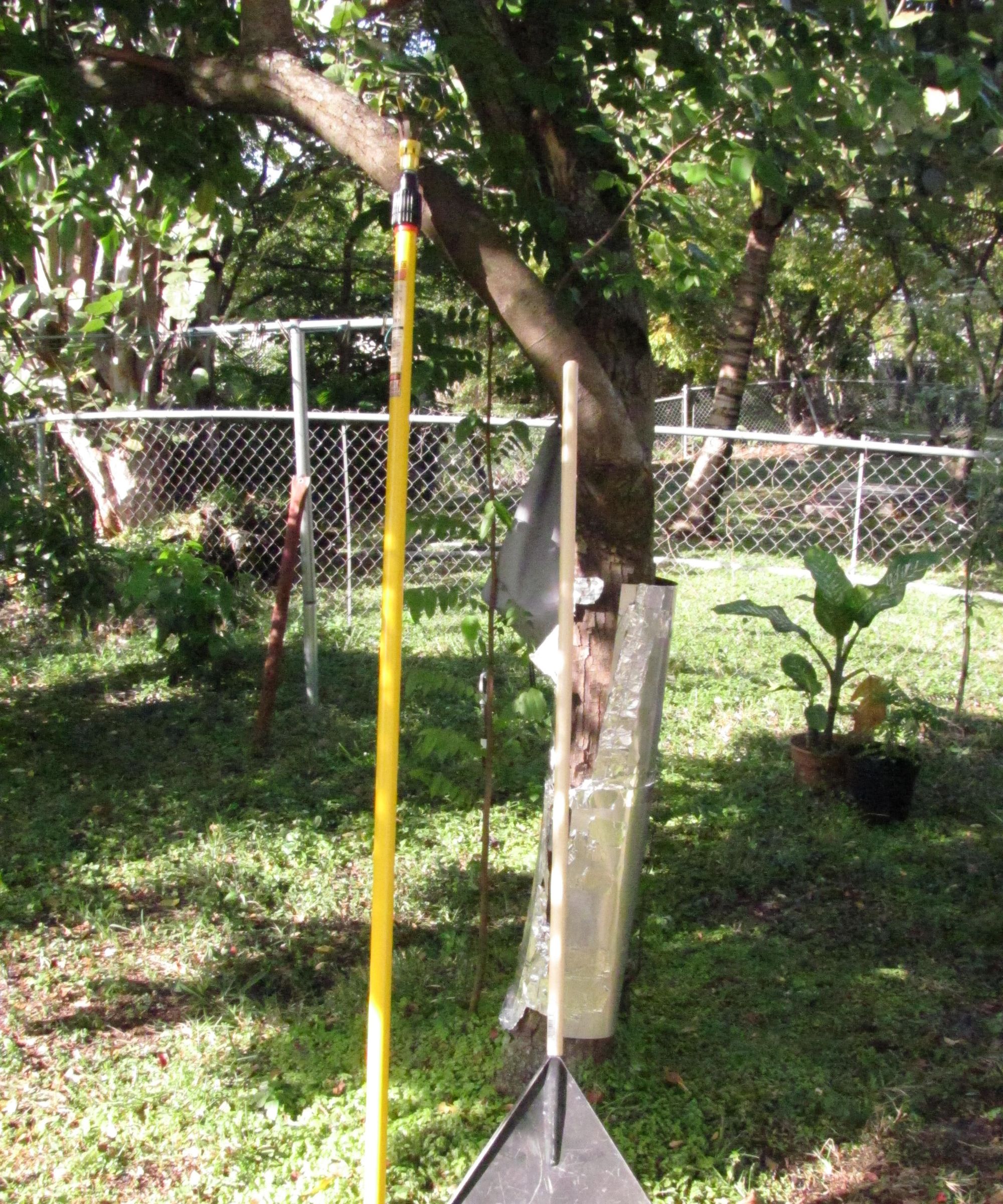 Painting Extension Fruit Picker