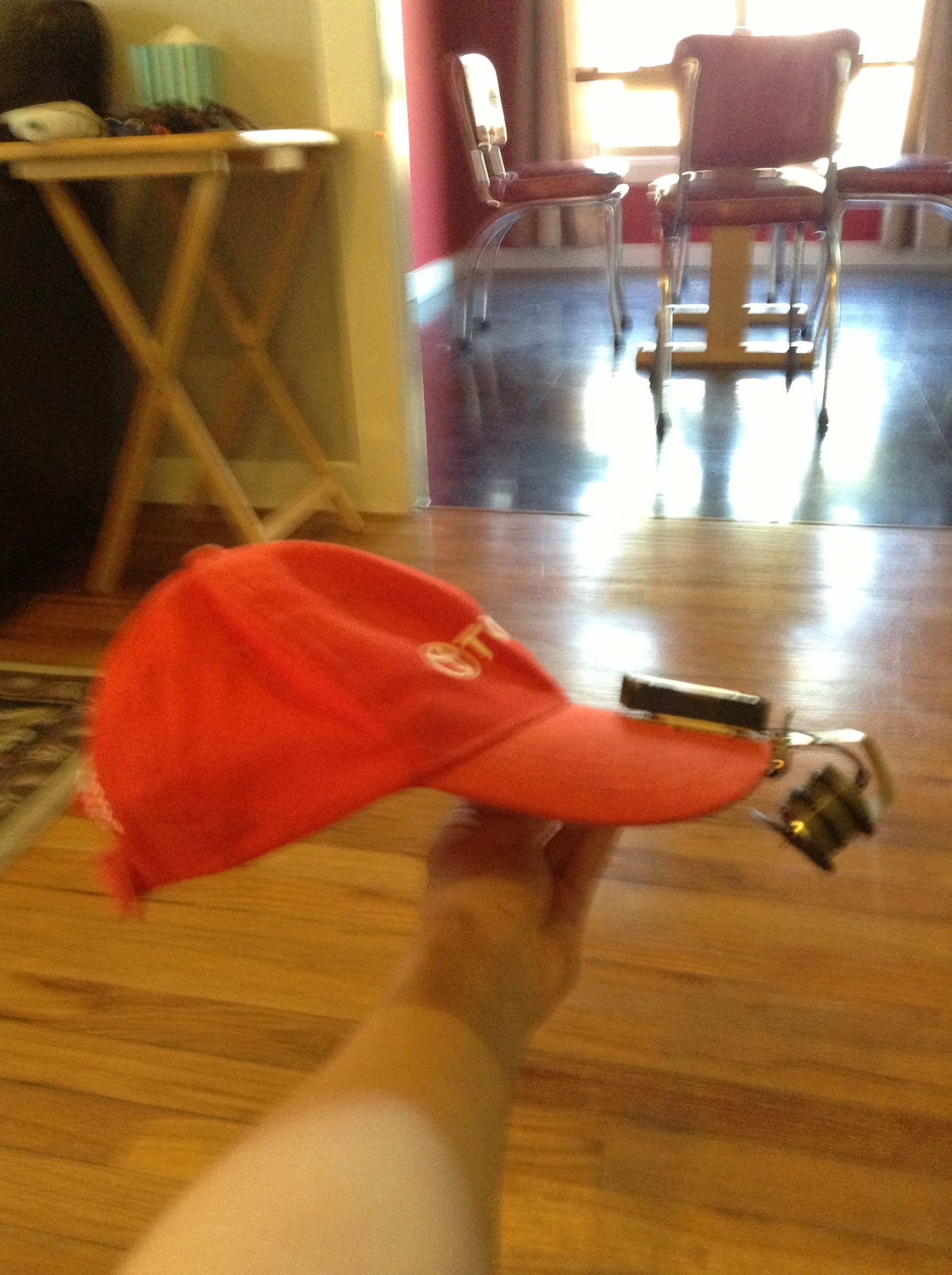 Fan Hat