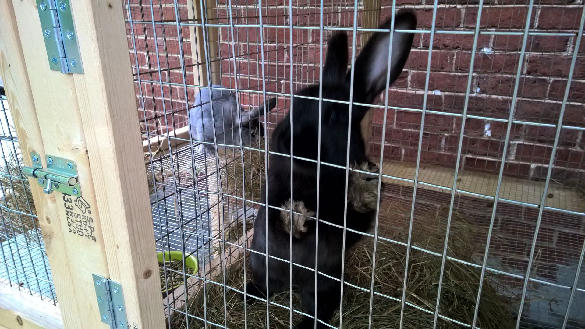 Building a Sectional Rabbit Hutch 12 Steps (with Pictures