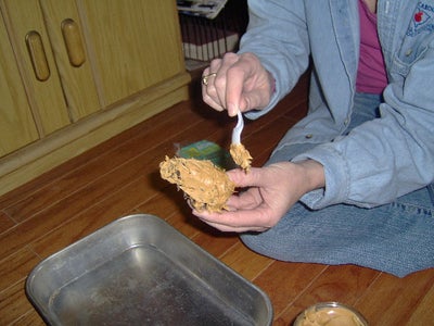 Step 3- Spread P-Nut Butter on Pine Cone.