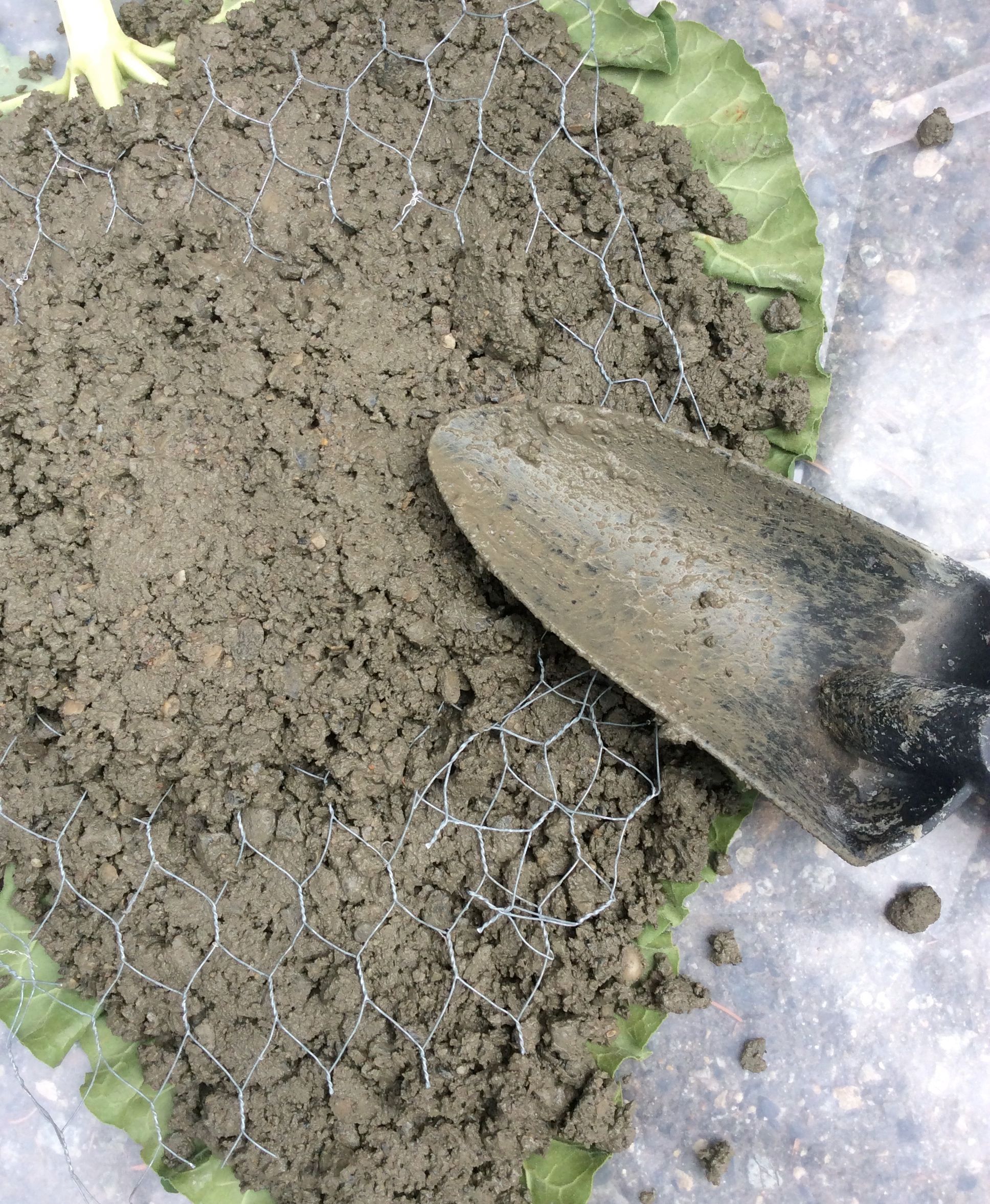 Rhubarb Leaf Stepping Stones 3 Steps (with Pictures) Instructables