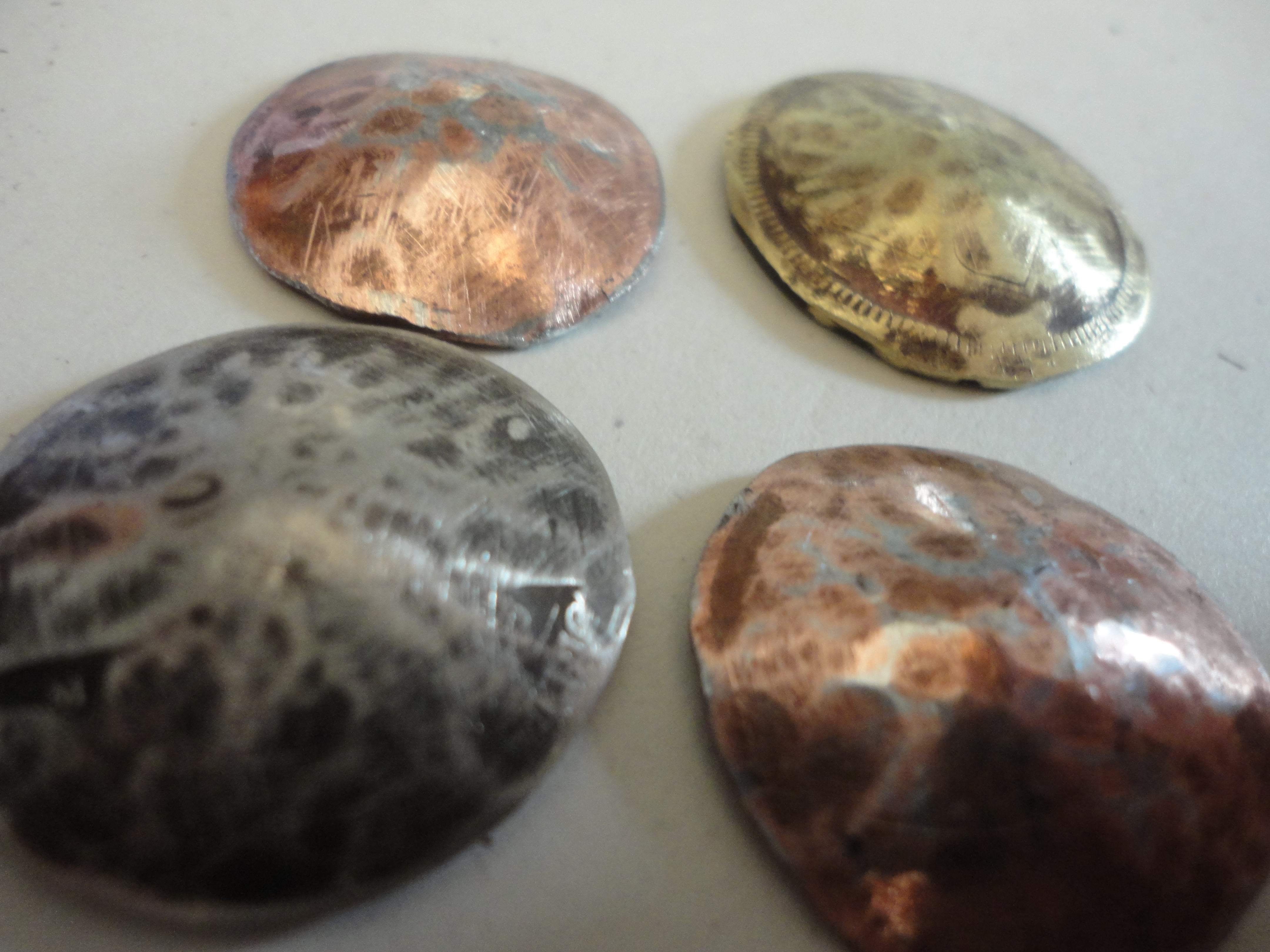 branching or veiney coin pendant/charm