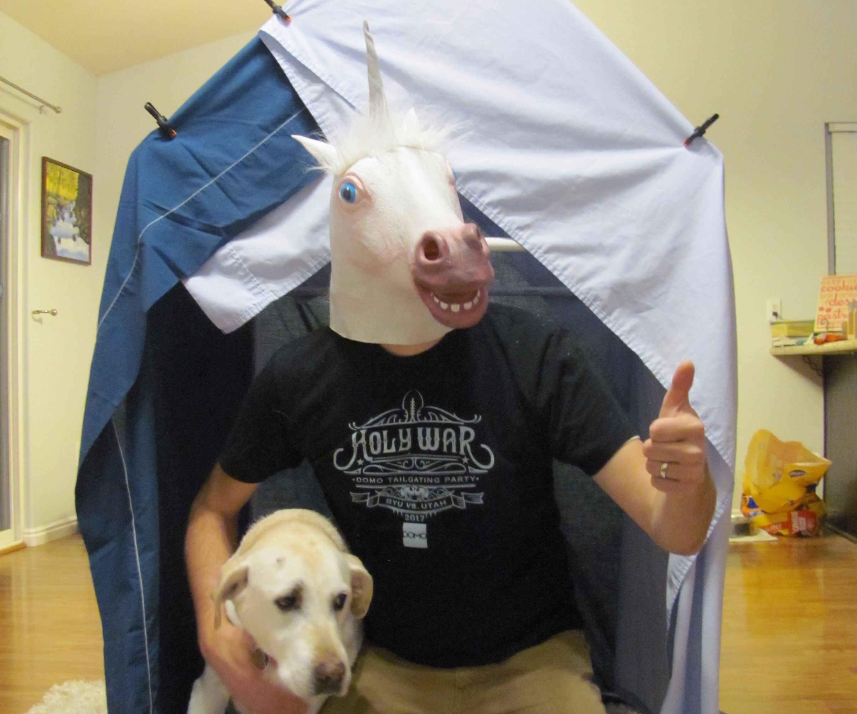 PVC Blanket Fort Kit