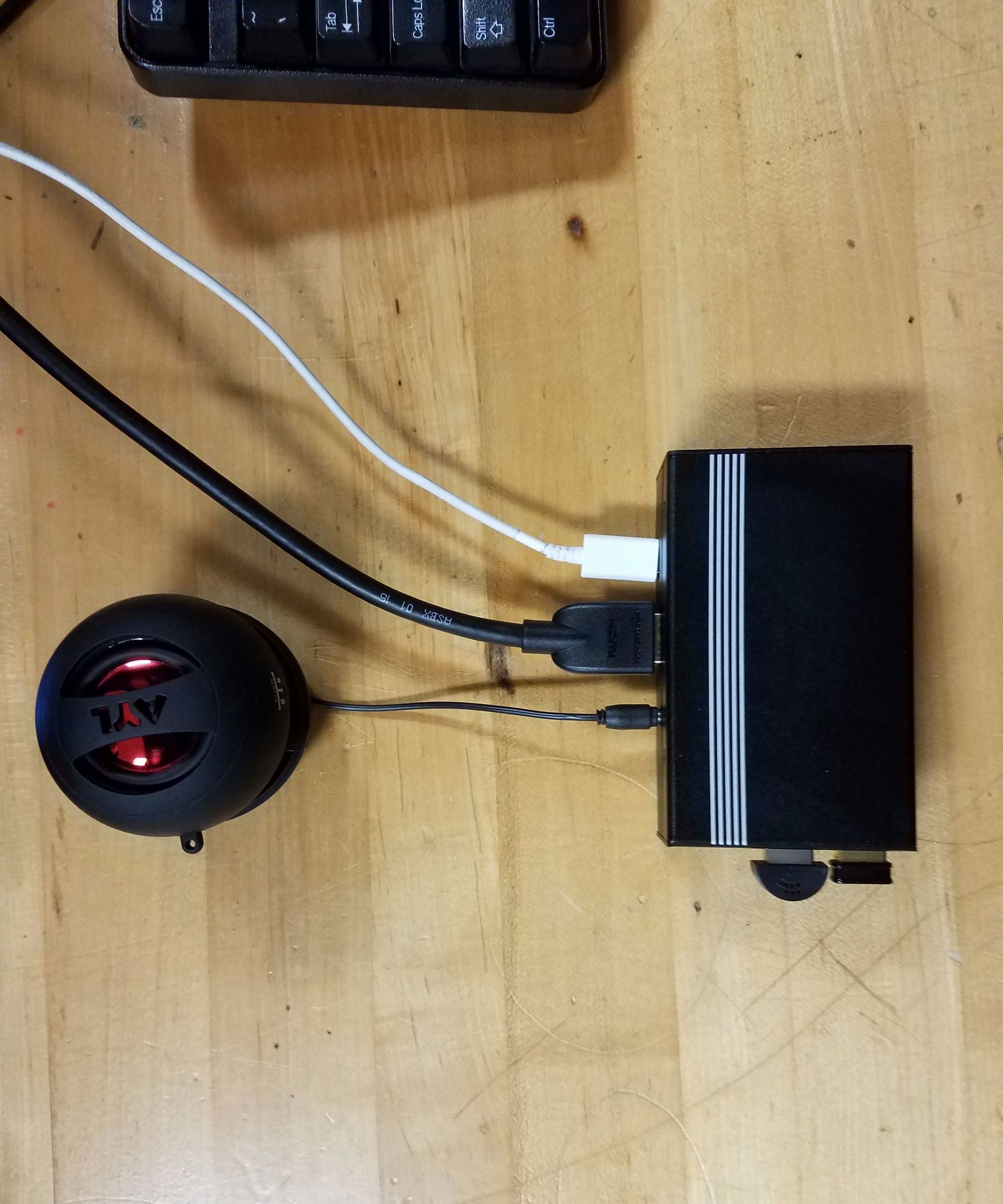 Raspberry Pi Amazon Echo
