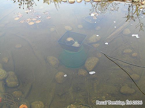 Pond De-icer - DIY Pond De Icer and Heater Idea