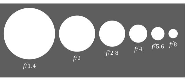 How Much Light Is There?