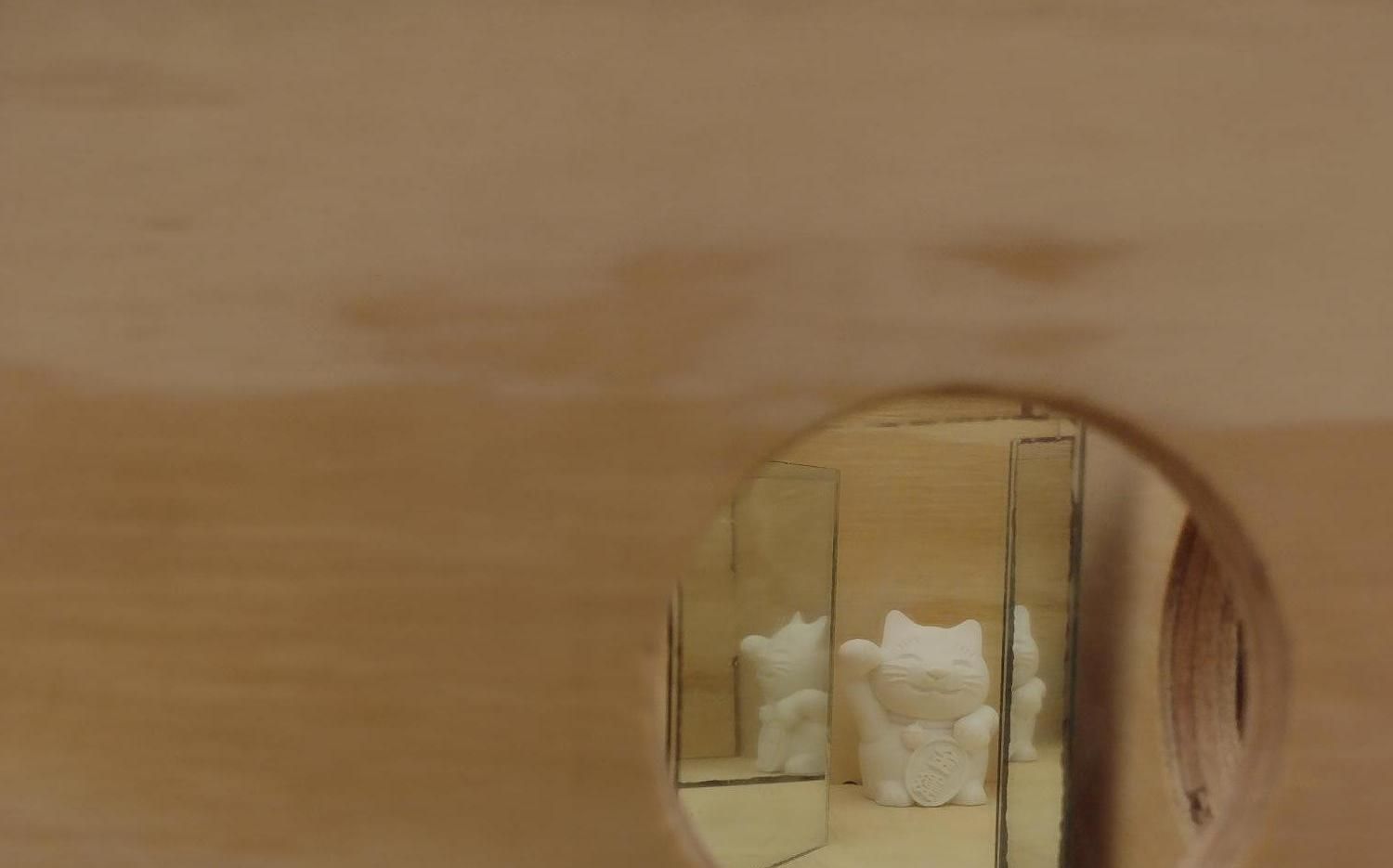 Invisibility in a Mirror Box