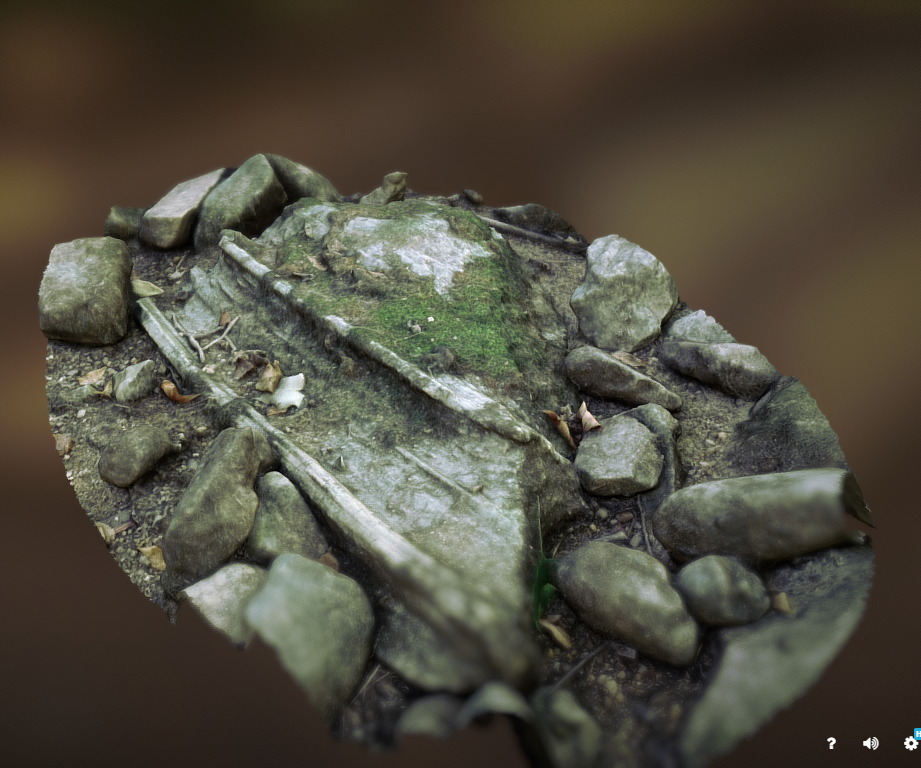 Make Your Own 3D Models for Free! 