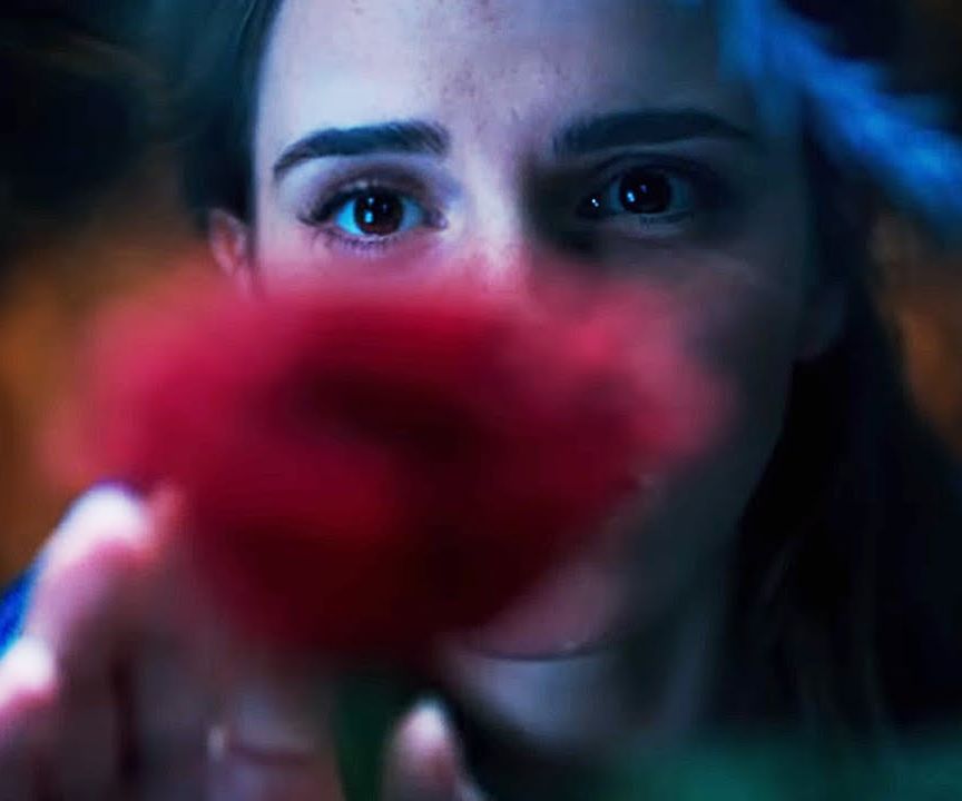 Disney's Beauty and the Beast Inspired Rose