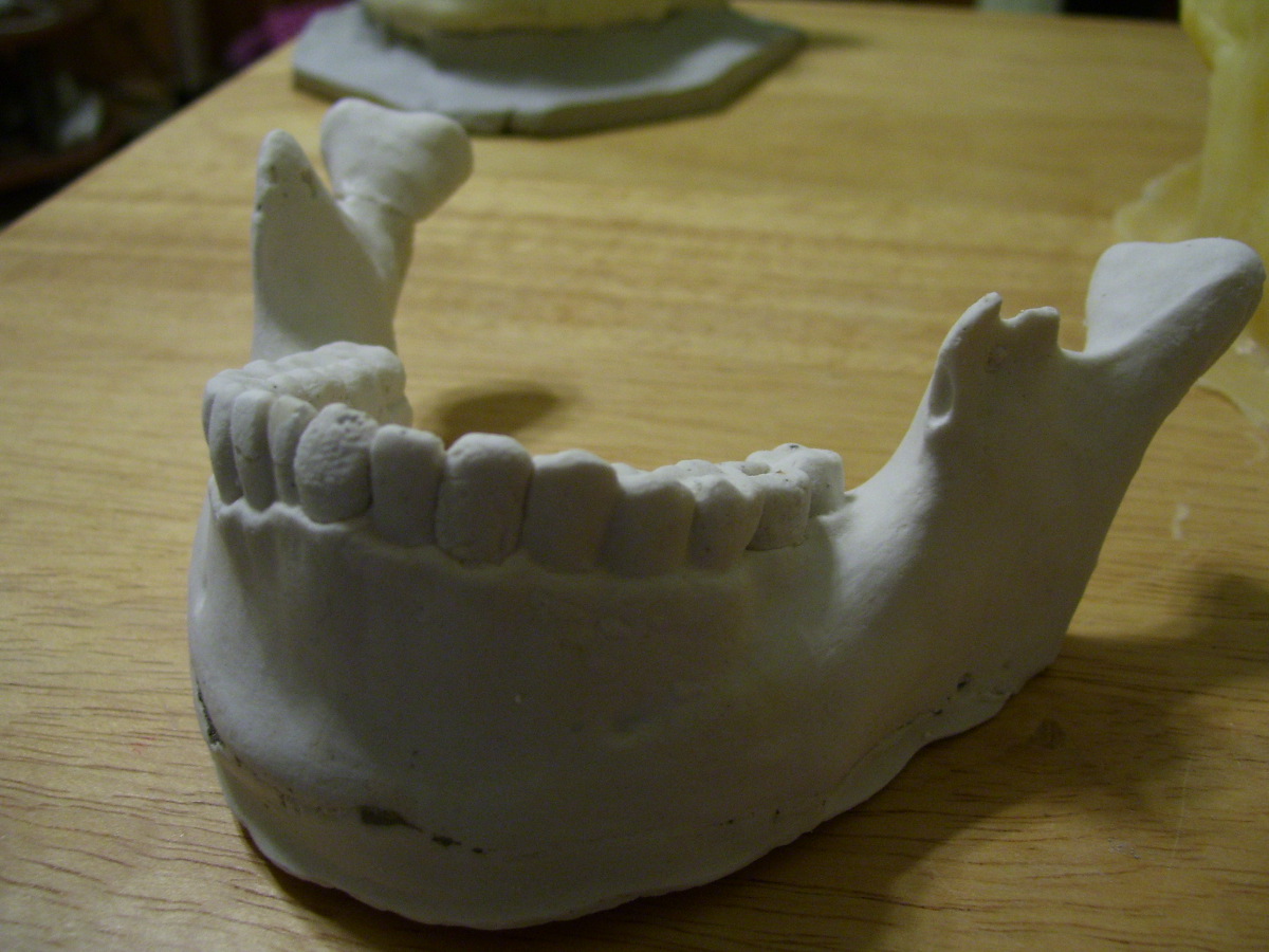 Make Your Own Bones for Halloween