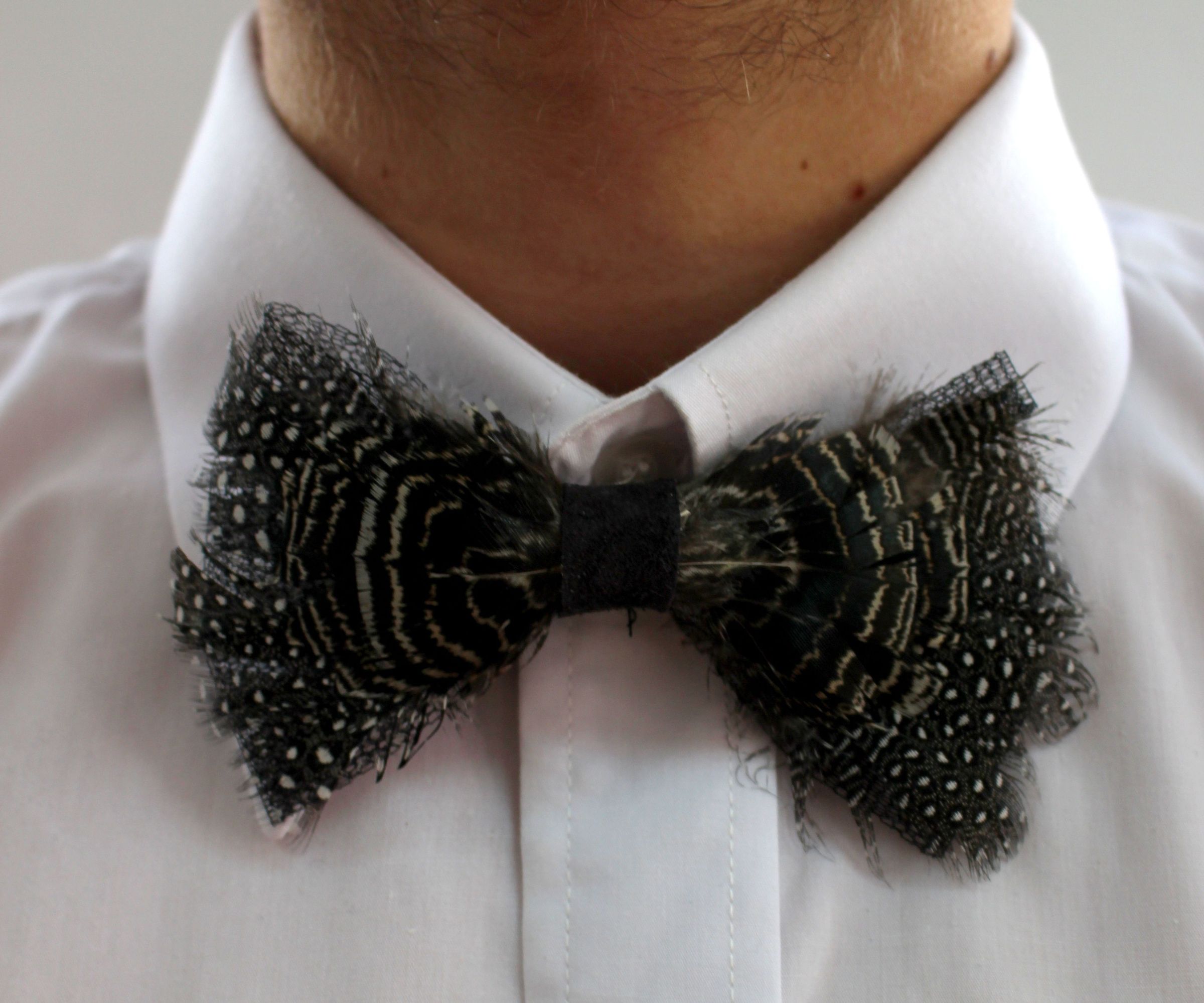 Diy Bow Tie From Featers  ( Groom's)