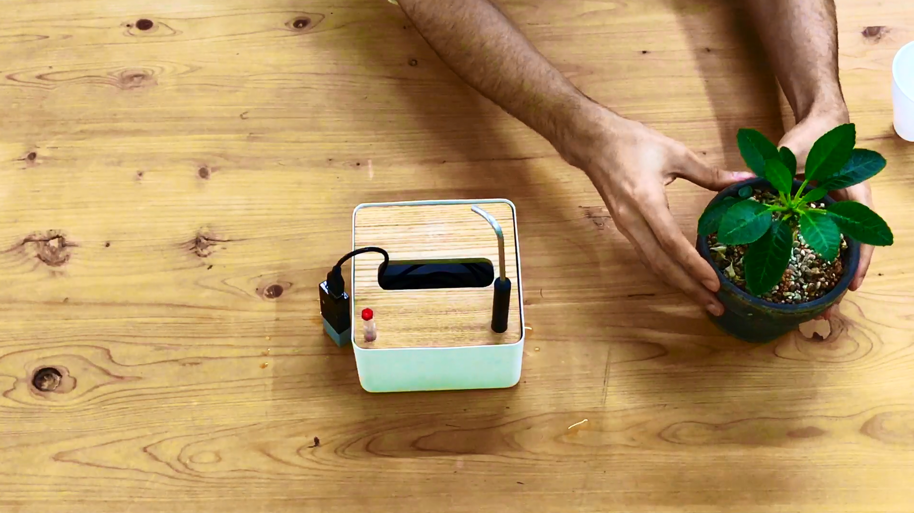 SelfWatering Plant Stand + Amazon Echo Made With MESH IoT Blocks 3