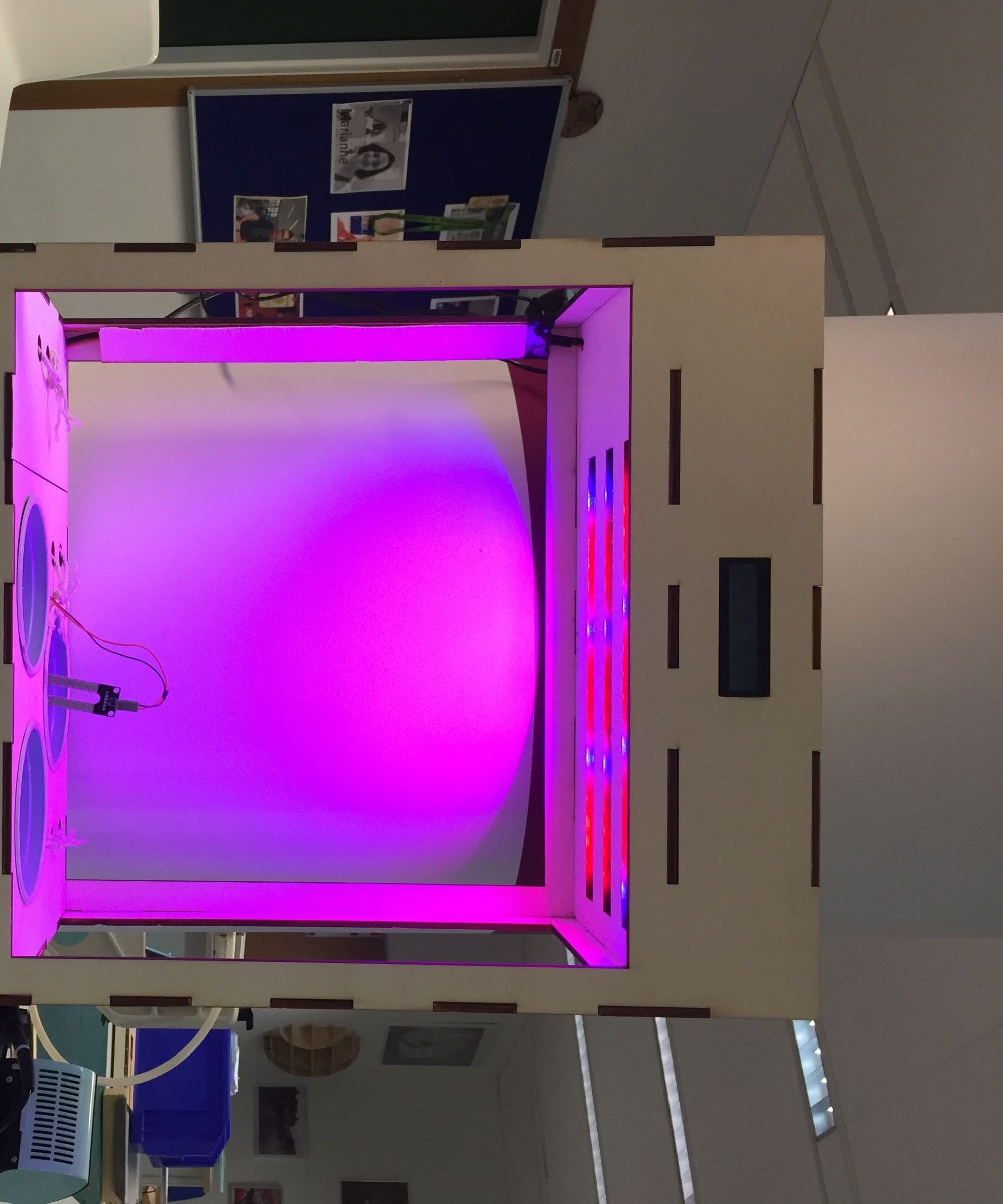 CRÉEZ VOTRE HOMEGARDEN 