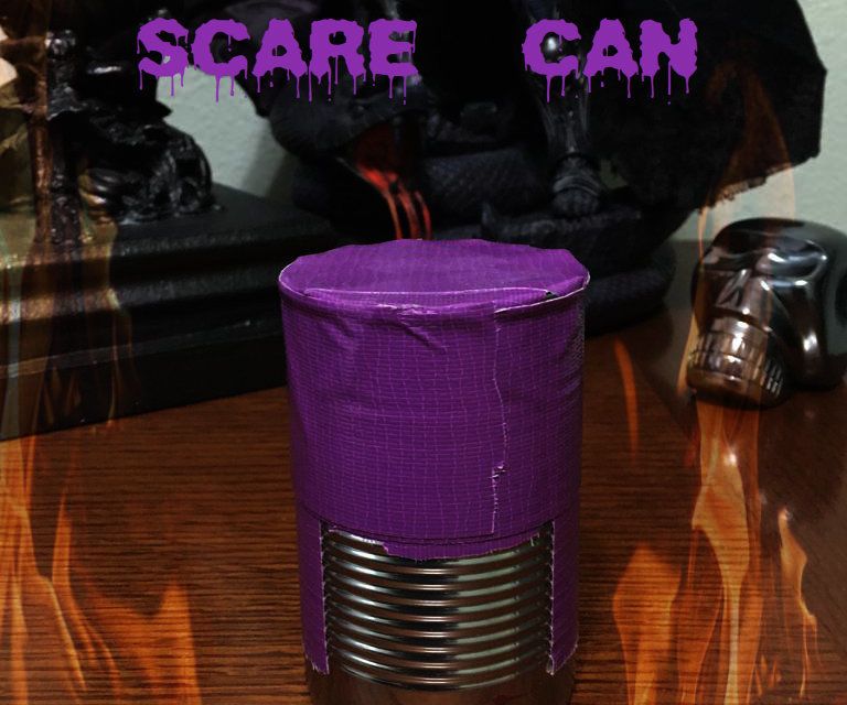 Scare Can (For People AND Cats)