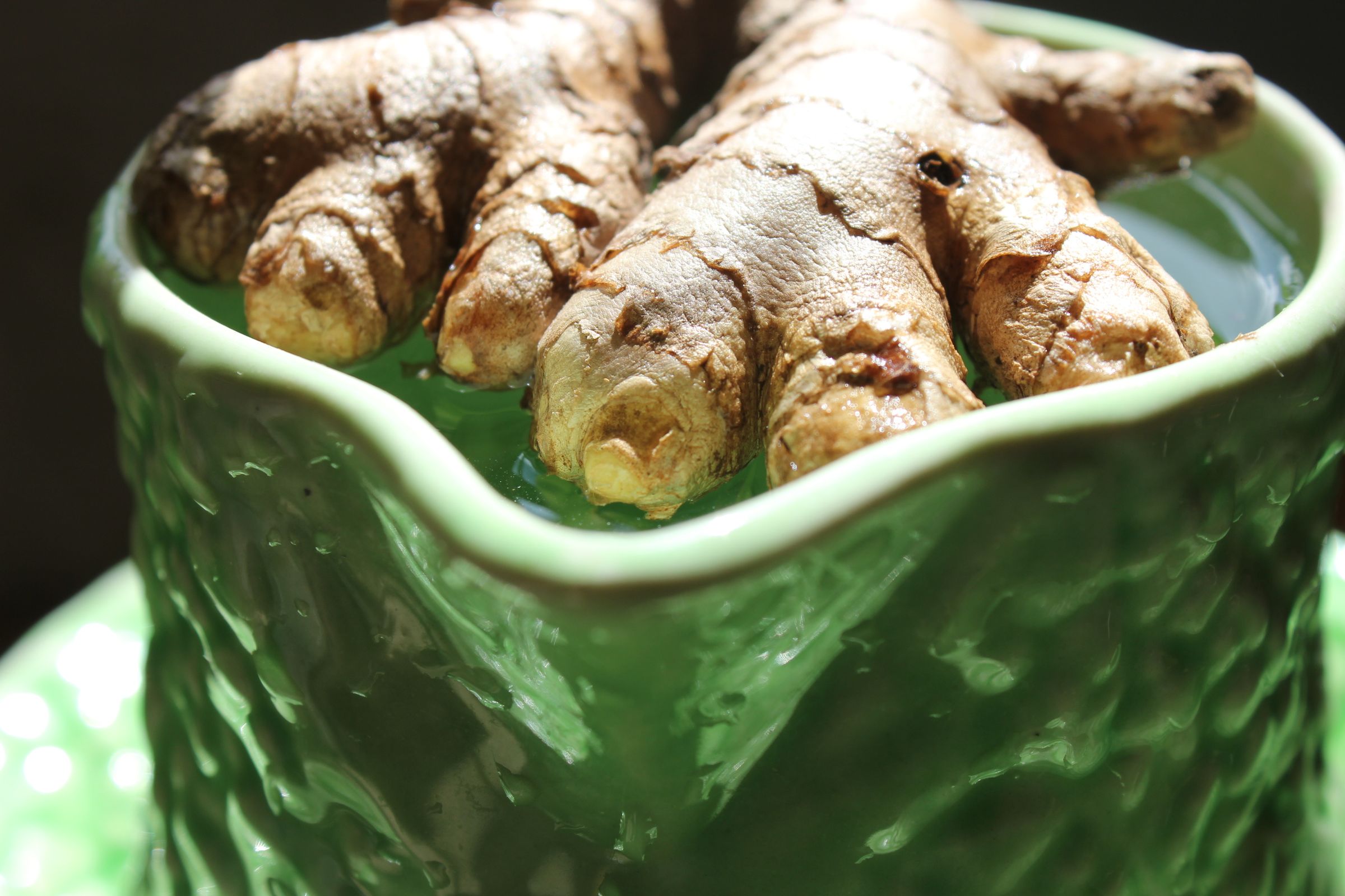 Home-grown Organic Turmeric and Ginger. Cultiver Le Curcuma Et Gingembre Bio. Crecer La Cúrcuma Y El Jengibre Orgánicos