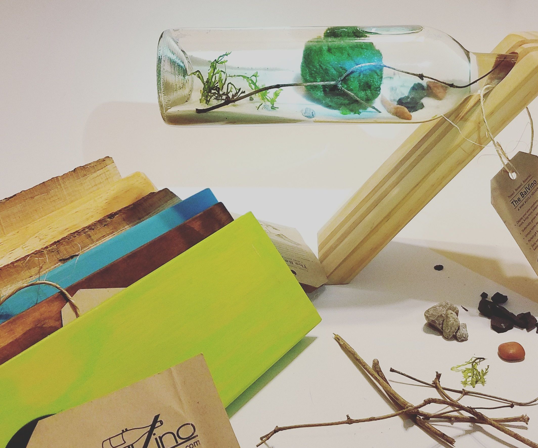 How to Make a Relaxing Wine Bottle Aquascape in Just 10 Easy Steps