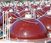 Hemispherical Photobioreactor Algae Farming (HEASH Project)