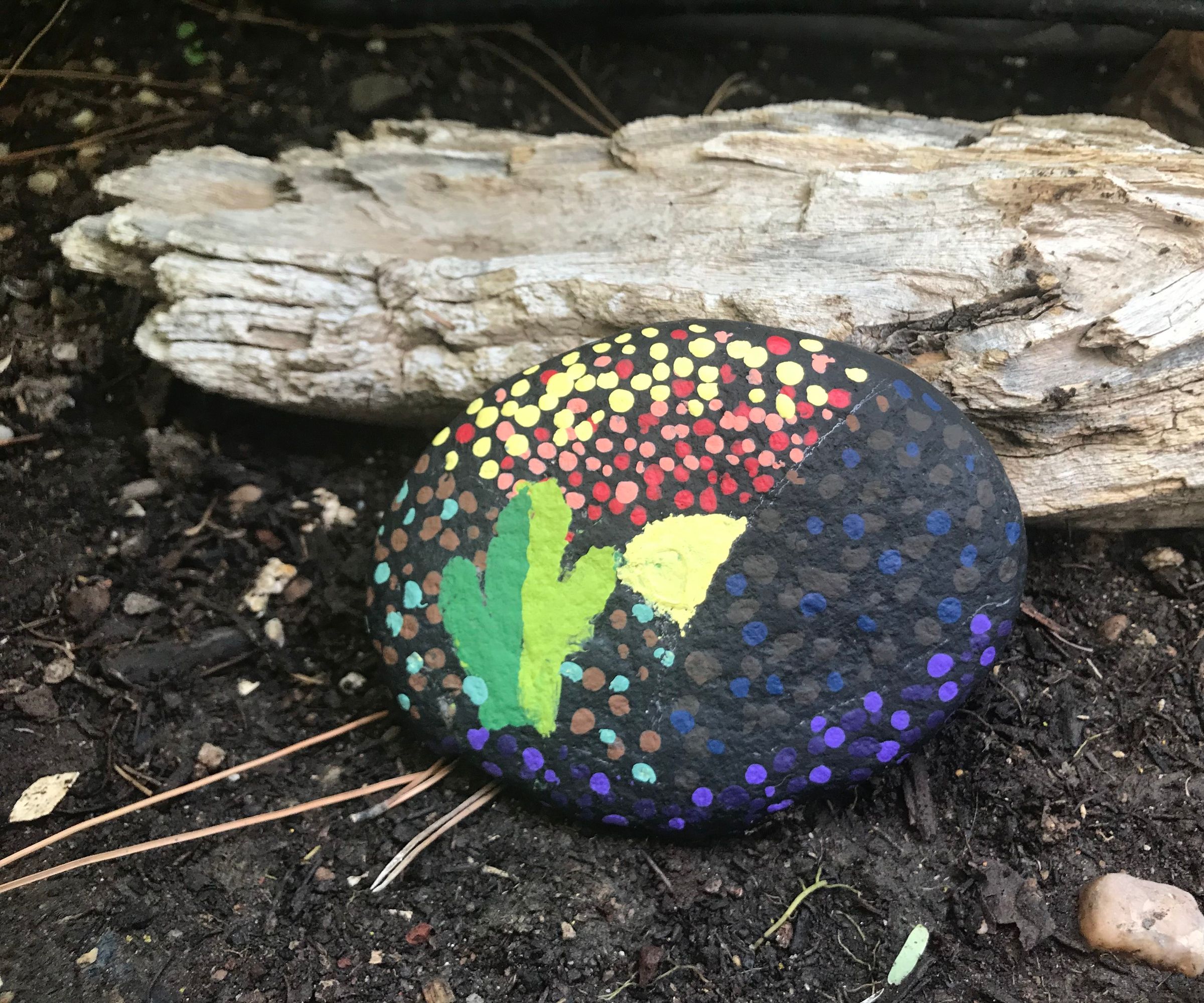 Desert Landscape Painted Rock