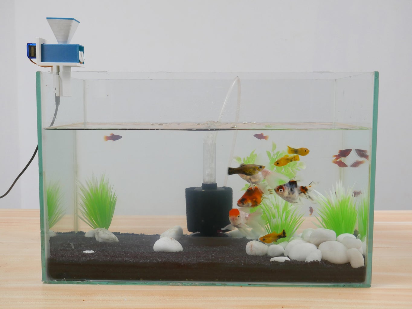 Aquassist DIY Automatic Fish Feeder With Companion App 10 Steps Circuit Diagram