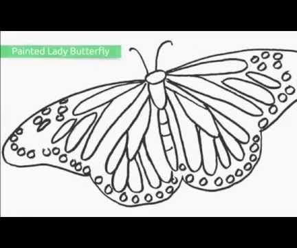 Top 25 Free Printable Butterfly Coloring Pages