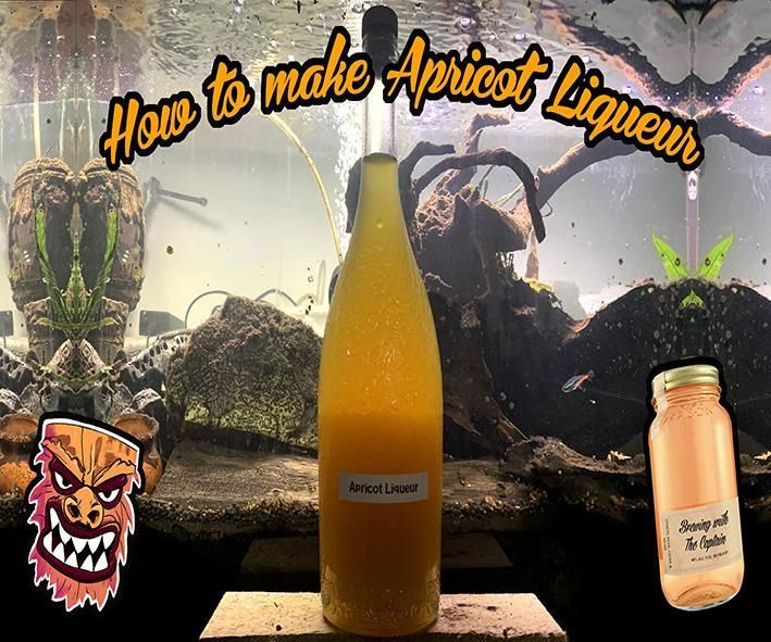 Captain Arresto's Apricot Liqueur