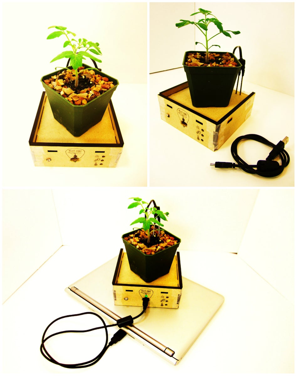 The Plant Shelf Mini