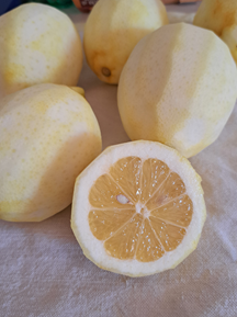 The Main Character: the Lemon