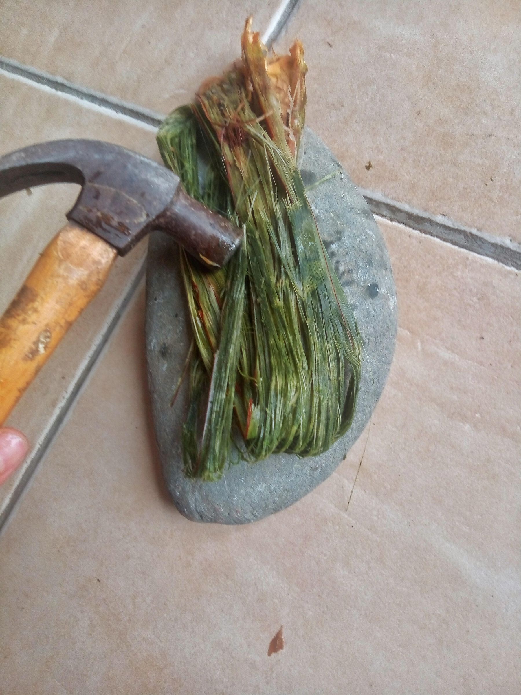 How to Make Rope / String With Natural Plant Fibers : 6 Steps (with ...