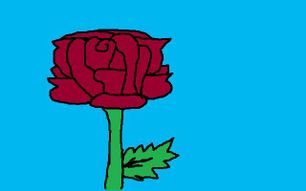 How to Draw a Rose