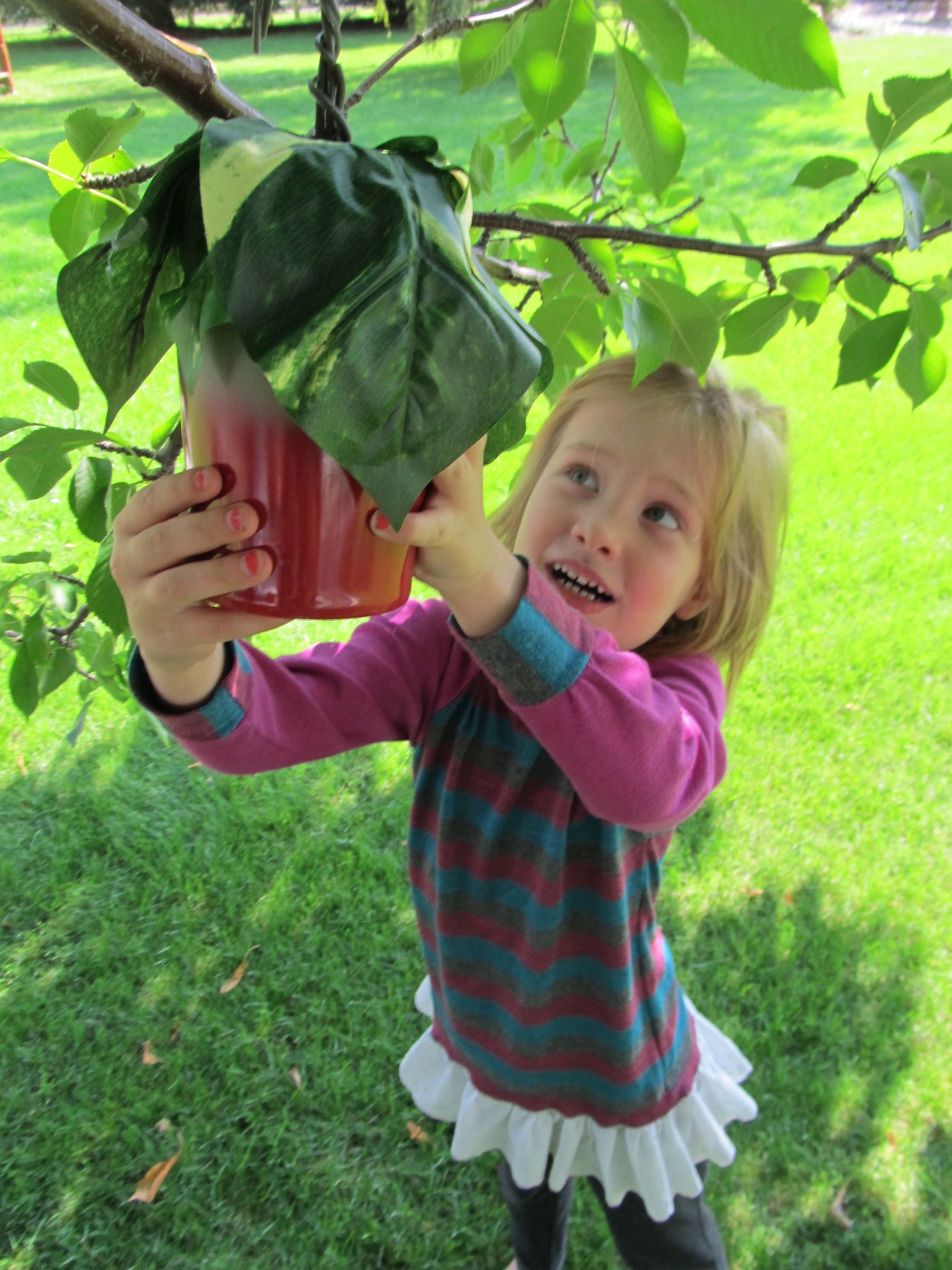 "Return to OZ" Picnic Lunch