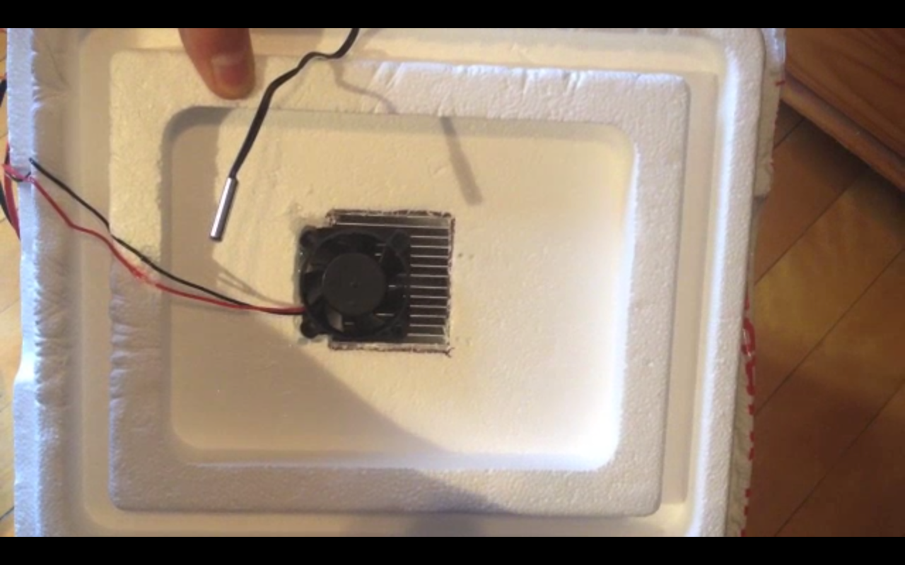 homemade electric cooler