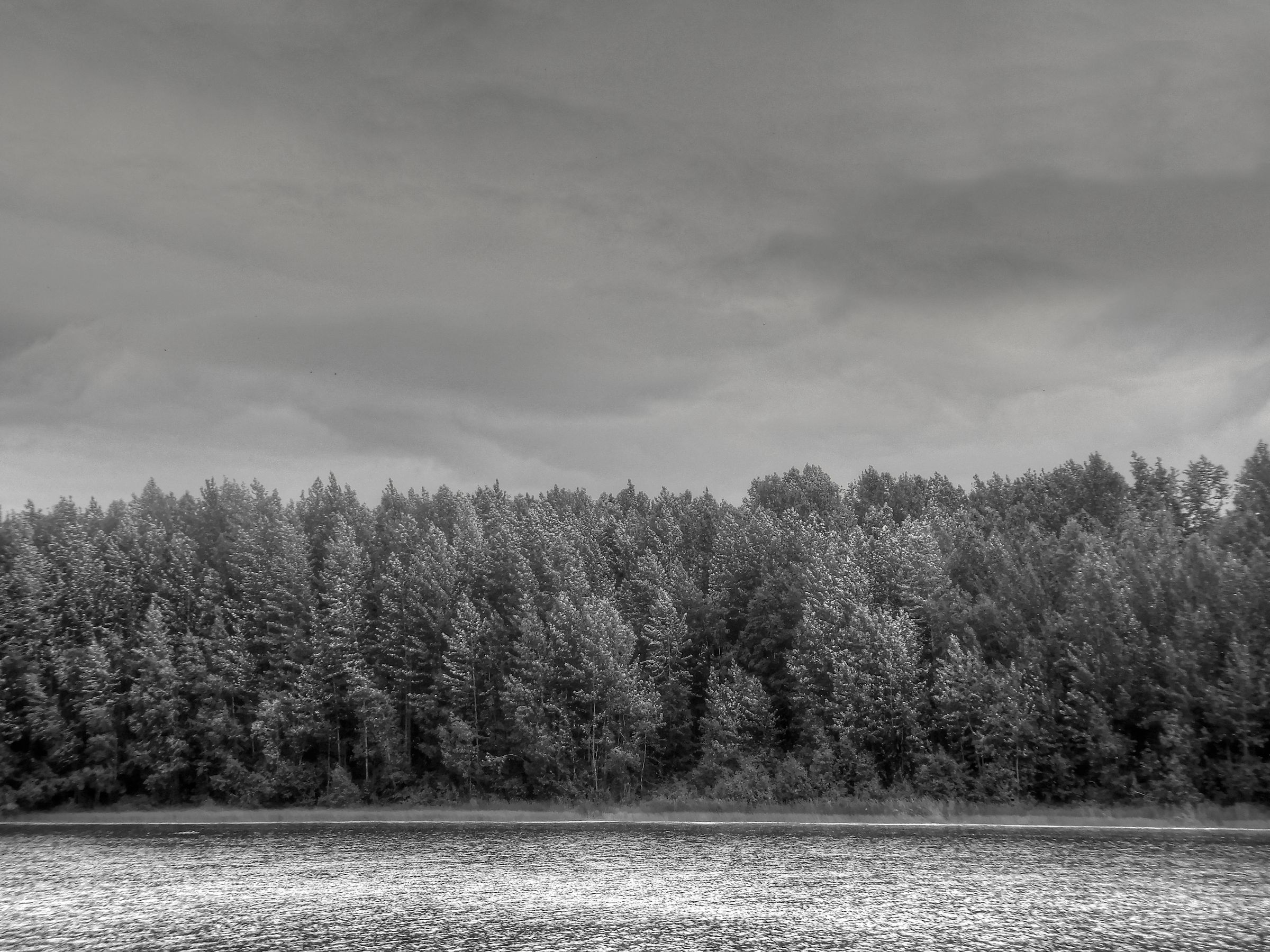 How to Cope With SAD