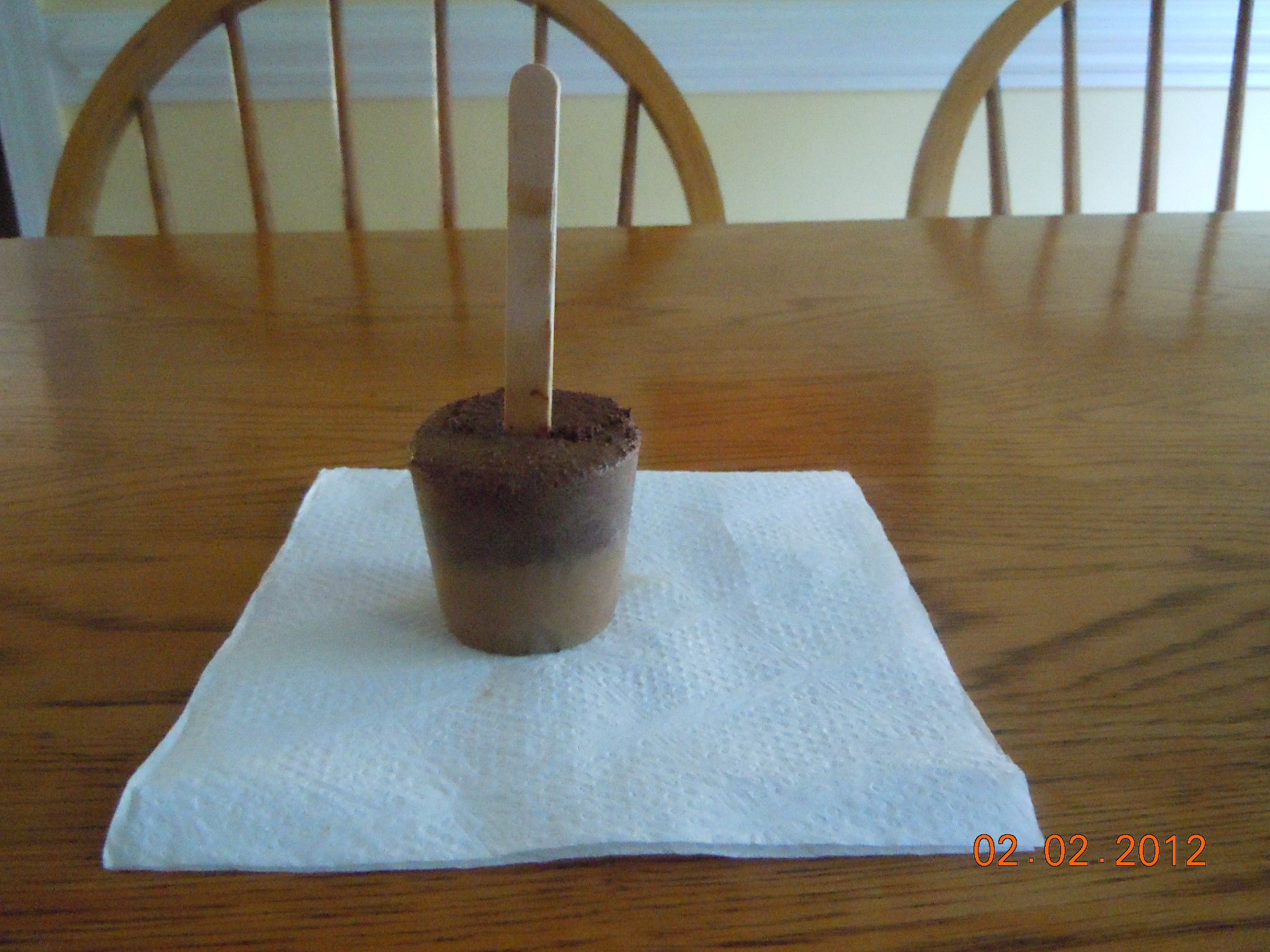 Dark Chocolate Espresso Popsicles
