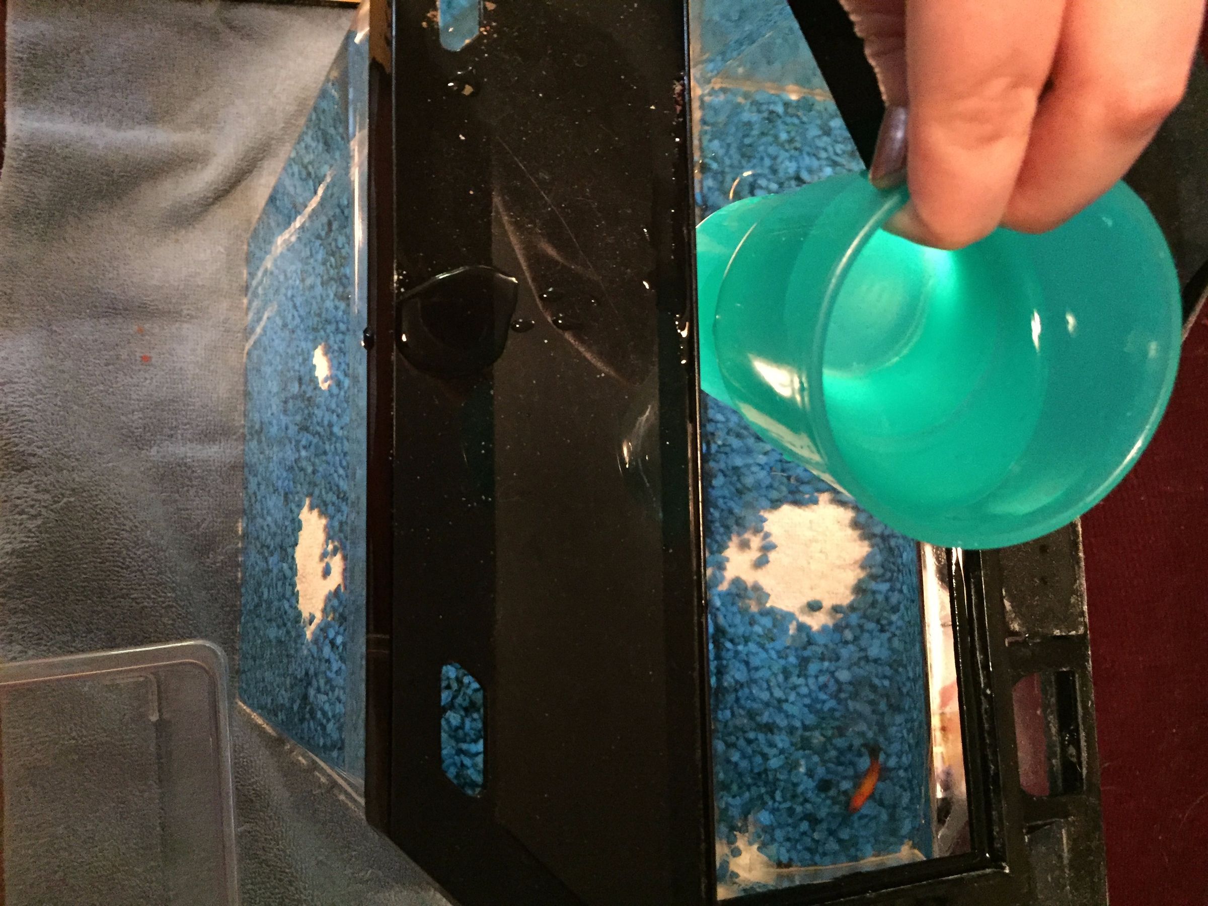 How to Clean Your Small Fish Tank 7 Steps (with Pictures) Instructables