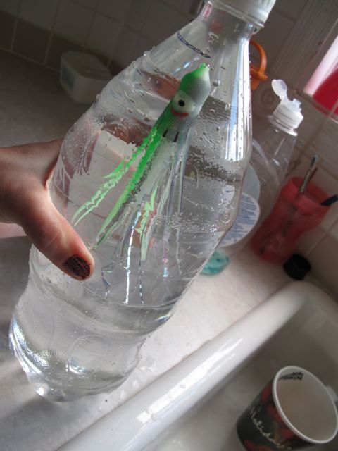 make a cartesian diving squid in a bottle