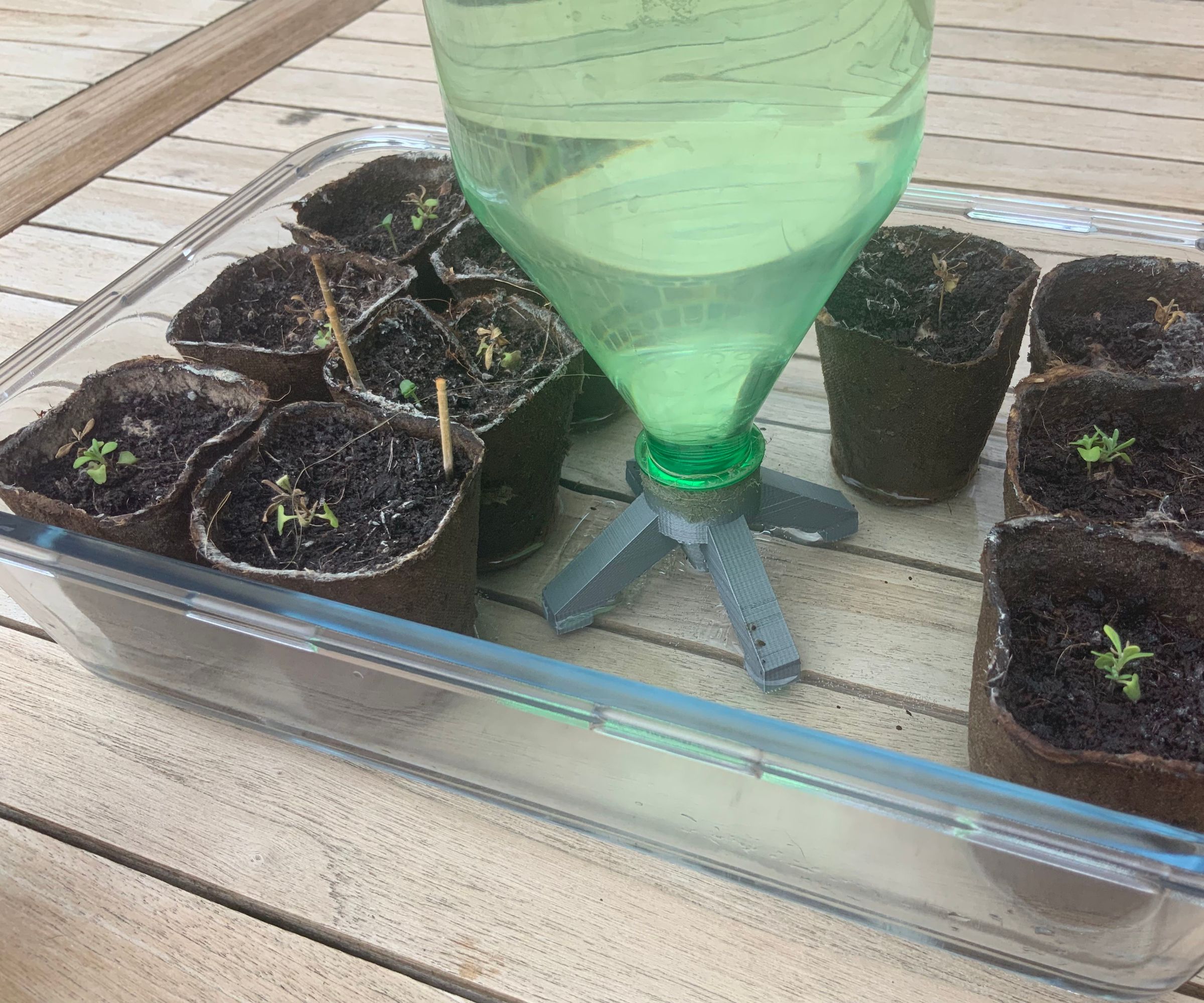 Watering Rocket for Small Plants