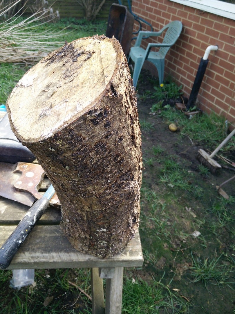 Log Fairy House
