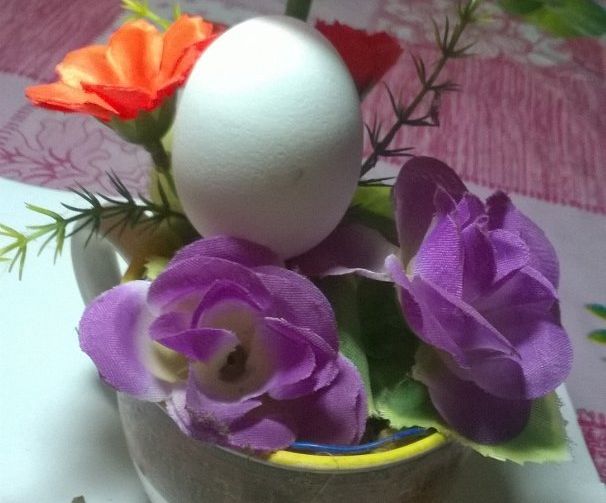 Automatic Night Egg Lamp
