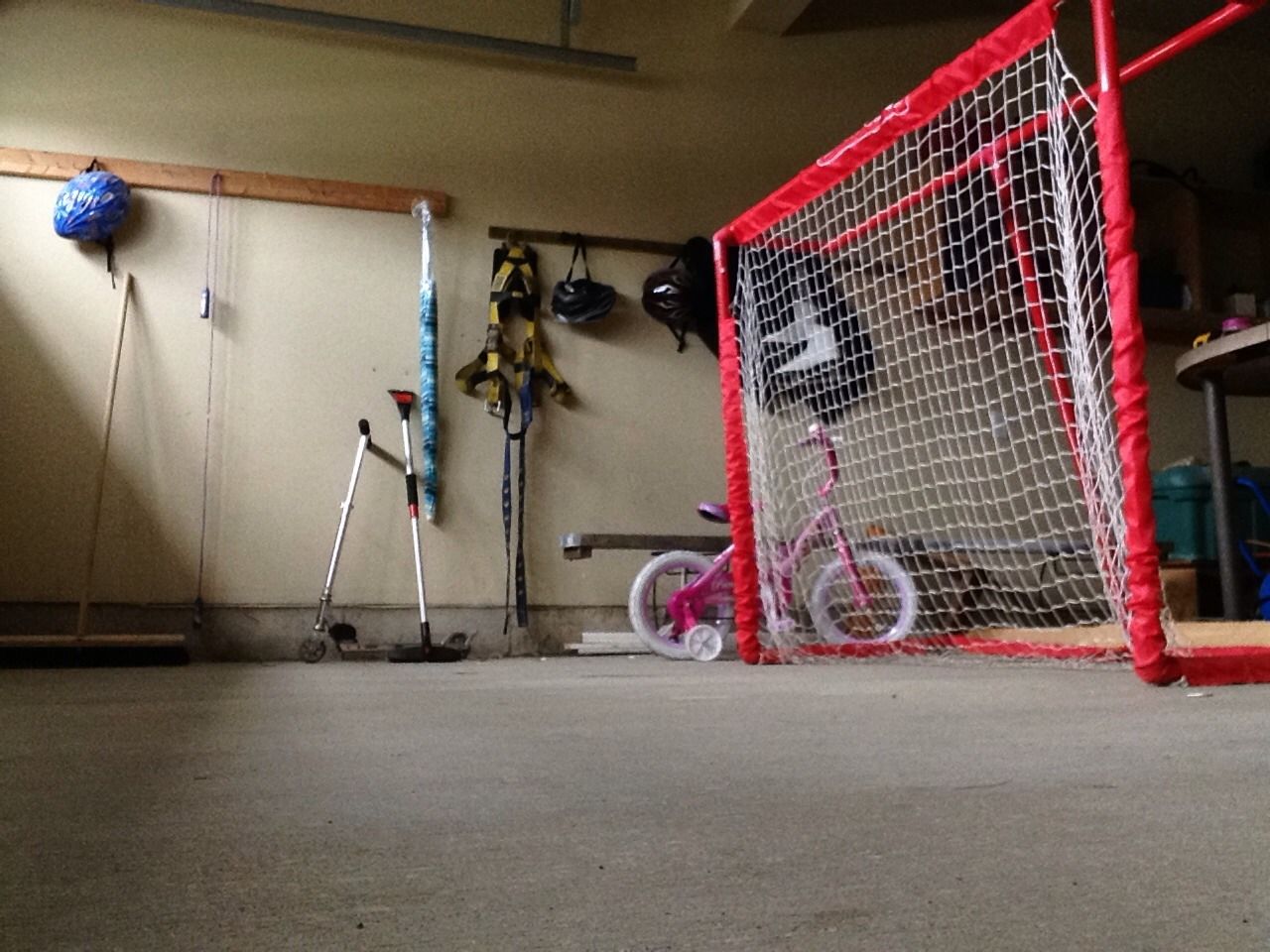 Goaltender 