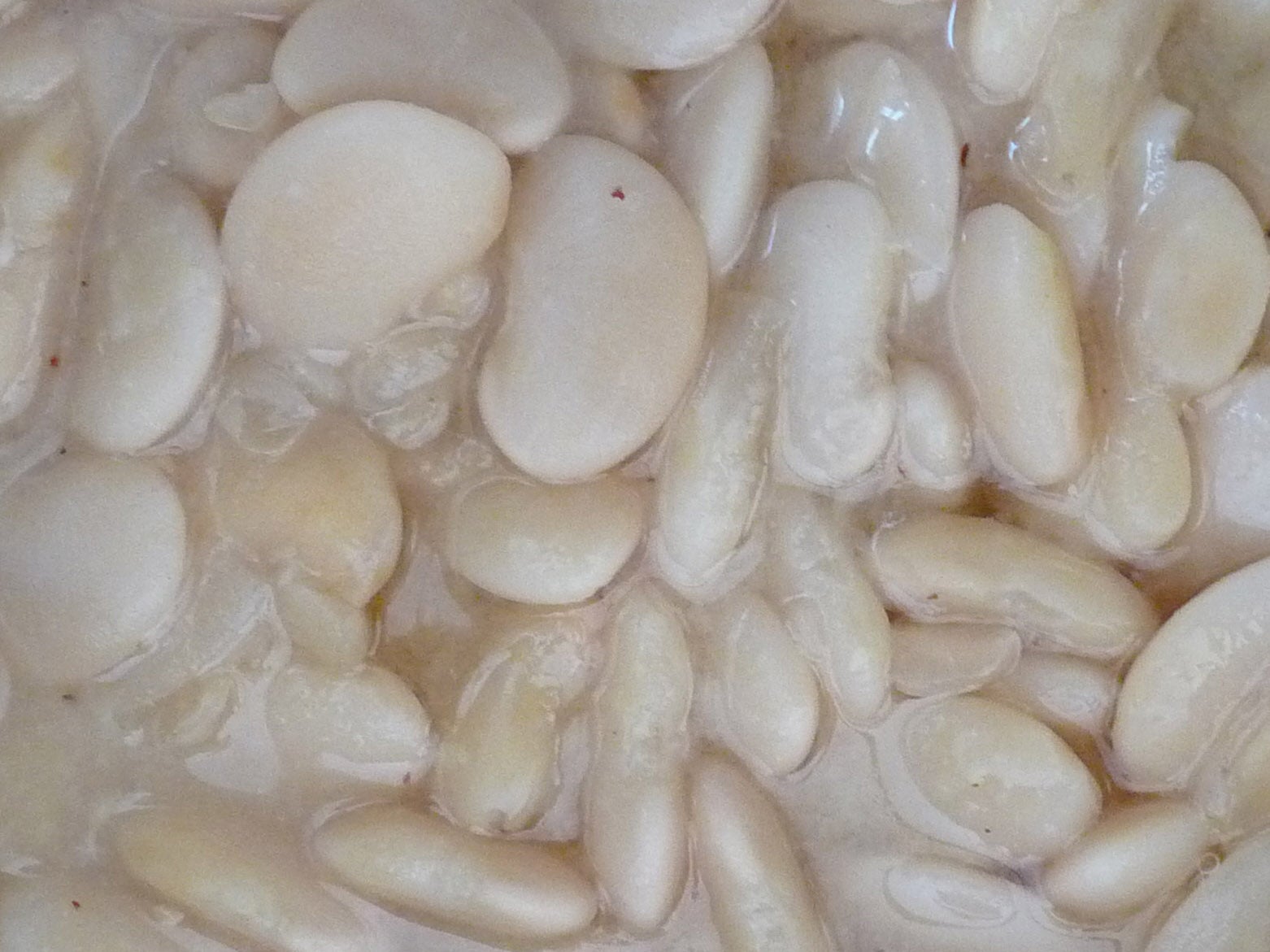 Easy Vegan Lima Beans From Scratch (with Pictures) Instructables