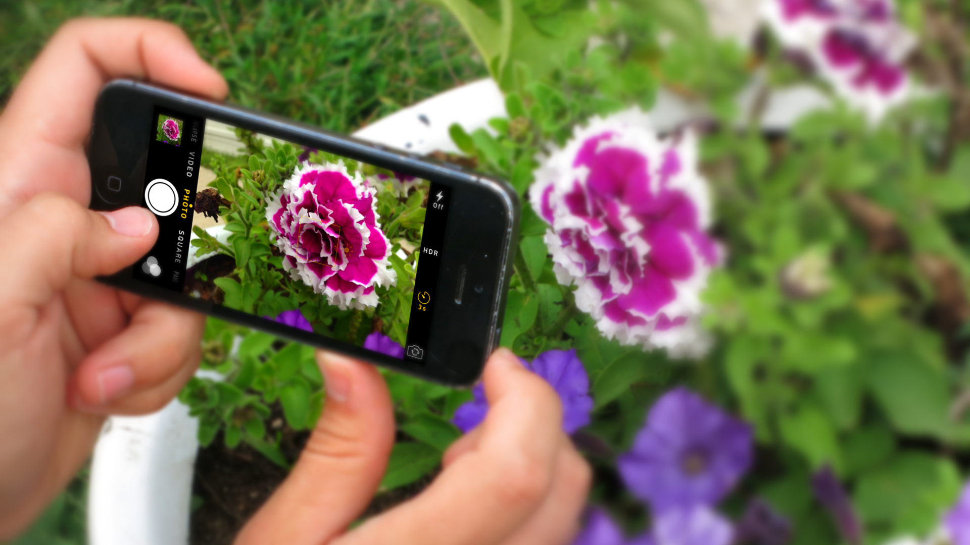 Smartphone Photography 5 Steps (with Pictures) Instructables