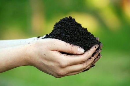 Make Garden Soil From ALMOST Any Dirt