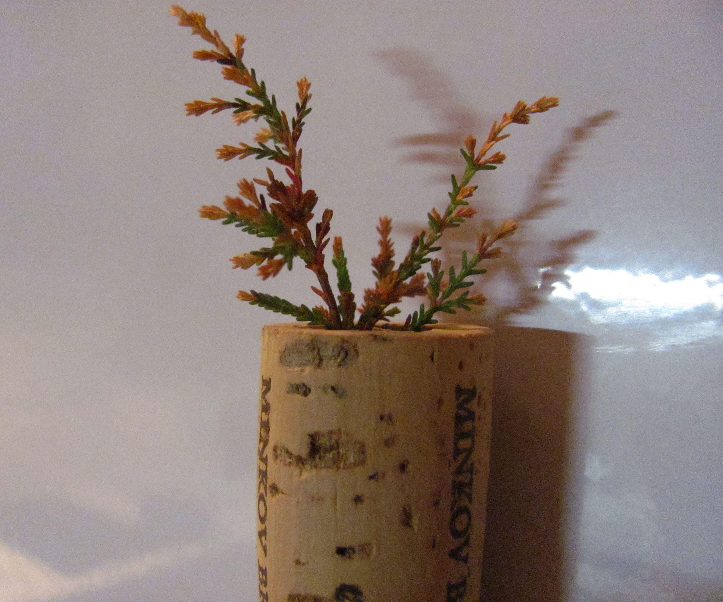 Cork Plant Holder