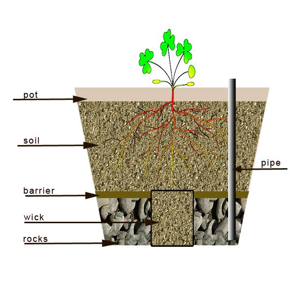 How to Make a Self Watering Container