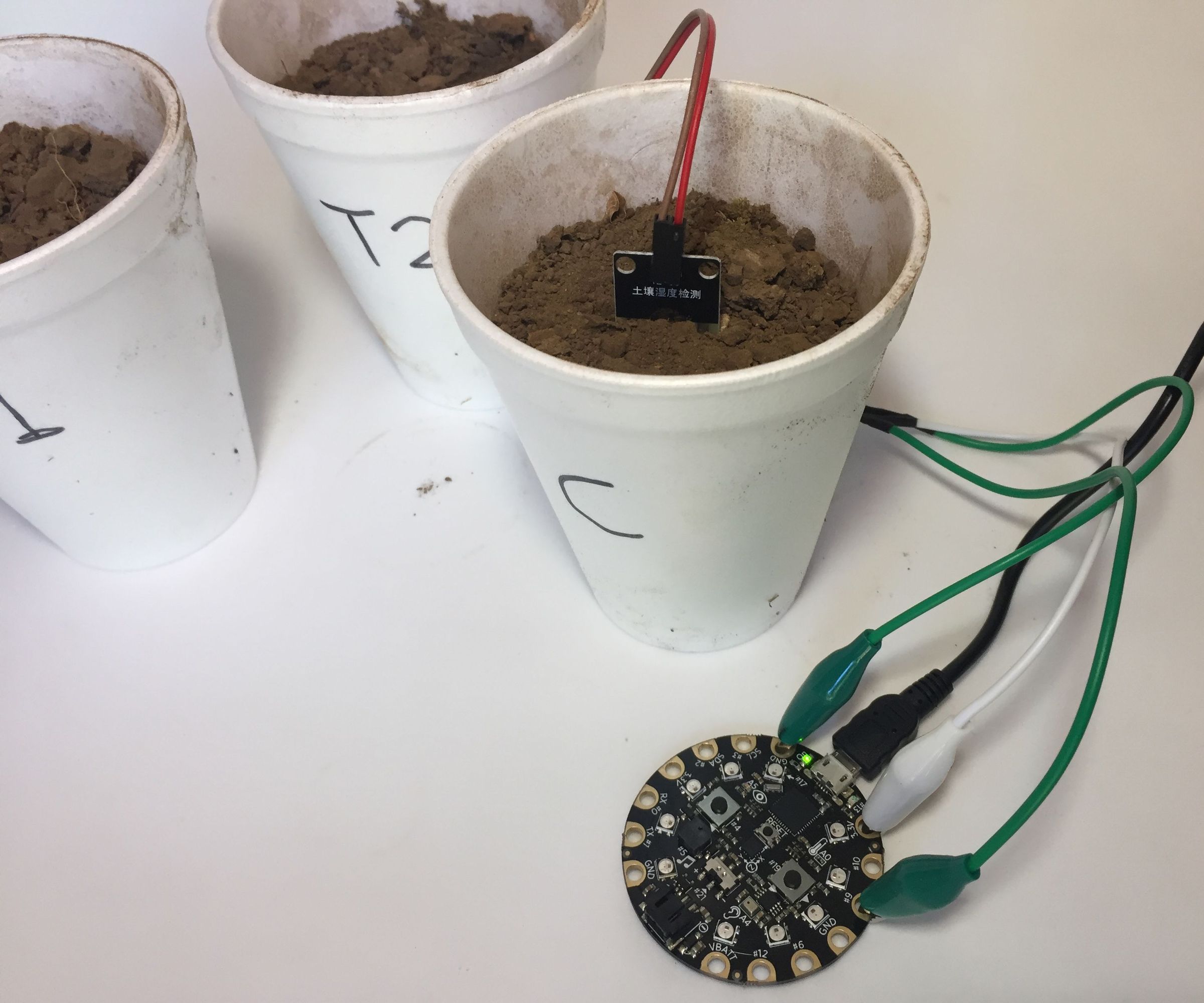 Experimentación Científica (Circuit Playground)