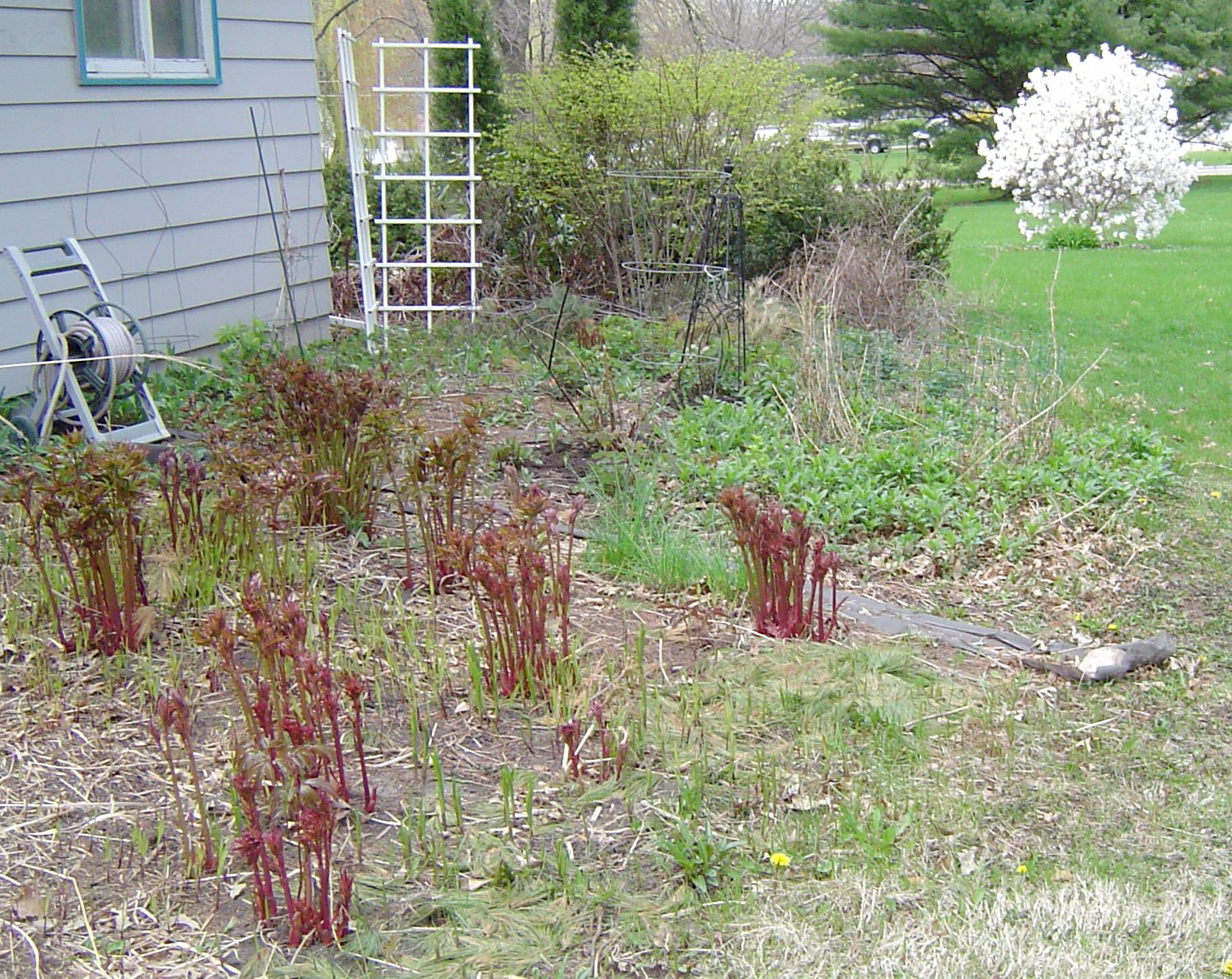 Deb's Garden in Iowa Instructables